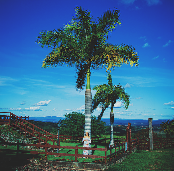 Galeria